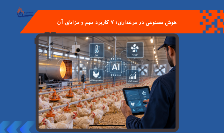 هوش مصنوعی در مرغداری؛ ۷ کاربرد مهم و مزایای آن